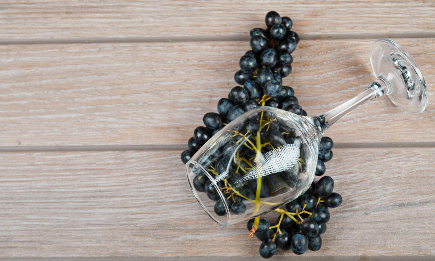 Weinverkostung mit Weingut Pax – Wachau